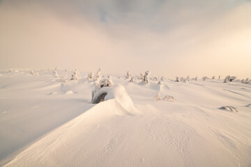 Russia's extreme cold regions, winter natural scenery, Arctic regions, snow-covered forests.