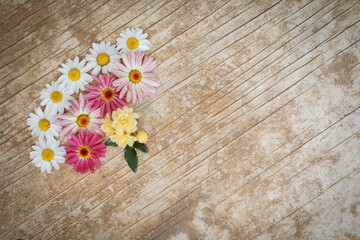 Obraz na płótnie Canvas Flat lay image featuring various daisy flowers on wood grain background
