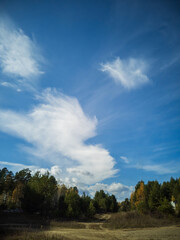 blue sky with clouds over forest, autumn landscape