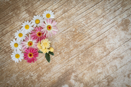 Flat lay image featuring various daisy flowers on wood grain background