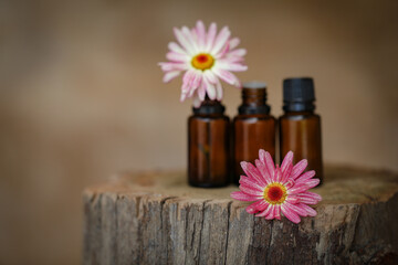 Essential oil bottles on display with vibrant pink daisies