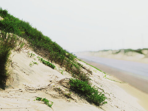 south padre island
