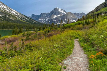 Spring Mountain Trail - A narrow mountain trail winding towards towering Mt. Gould at side of Lake Josephine. Many Glacier, Glacier National Park, Montana, USA.
