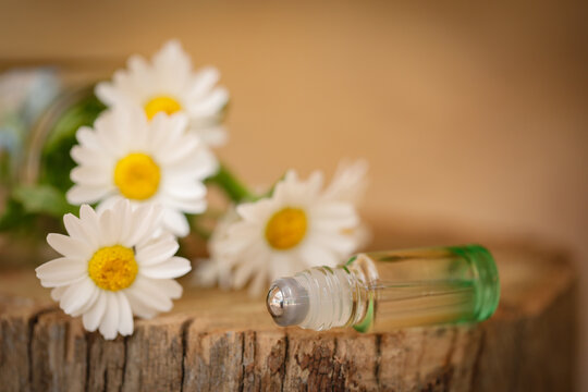 Ombre green essential oil roller bottle with chrysanthemum flowers on wood background