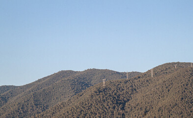 Paisaje natural arboles y cielo azul Natural landscape trees and a blue sky 