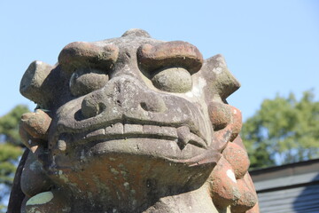 口を閉じた狛犬(吽形)の石像の顔部分