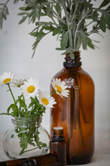 Chrysanthemum flowers on display with amber essential oil bottles