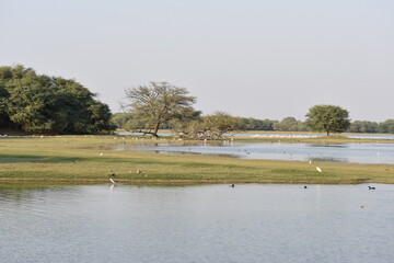 A beautiful scene in a bird sanctuary.