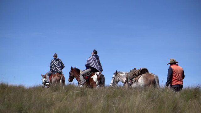 Tourists are riding horses on the moorland of the Andes in Quito, Ecuador. They are wearing ponchos. A person walks on their side. The sky is blue.