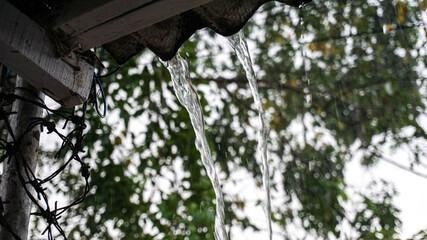 Rainwater falls from the roof of the house