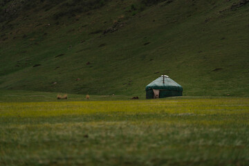 Fototapeta na wymiar Kazakh yurt in Kazakhstan Almaty region