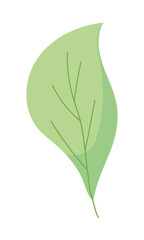 green leaf icon
