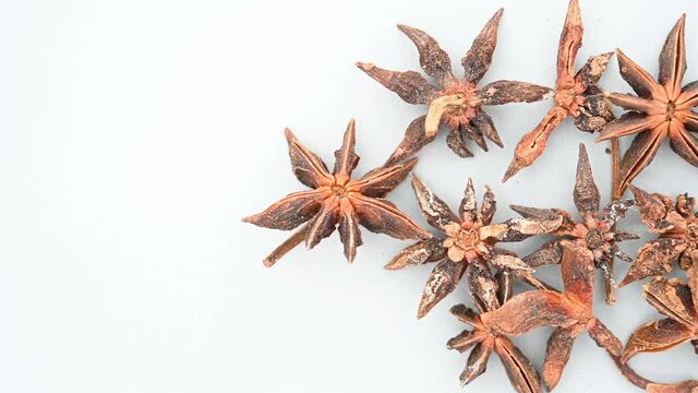 top pan herb BaJiaoHuiXiang or Anisi Stellati Fructus or Truestar Anise