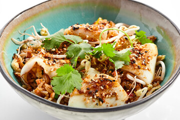 Pan asian traditional dish - fried rice with egg, vegetables, and squid. Indian wok with rice, egg and kalmar on white background. Nasi goreng with calamari on isolated background with shadows. © Ryzhkov