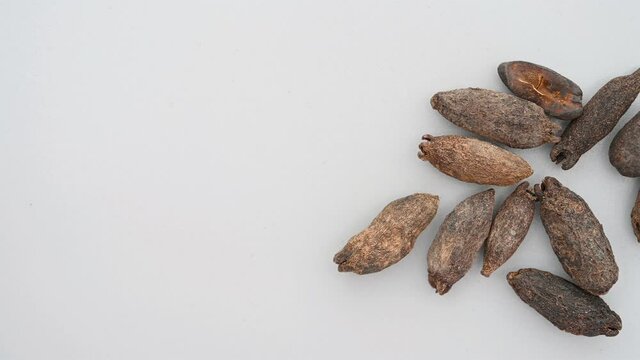 top pan herb MuDingXiang or Flos Caryophyllata or Clove