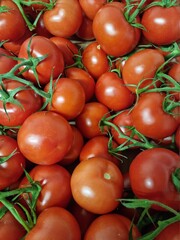 tomates