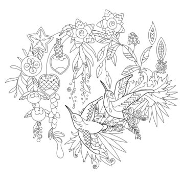 Contour linear illustration for coloring book with paradise birds in flowers. Tropic colibri,  anti stress picture. Line art design for adult or kids  in zen-tangle style, tattoo and coloring page.