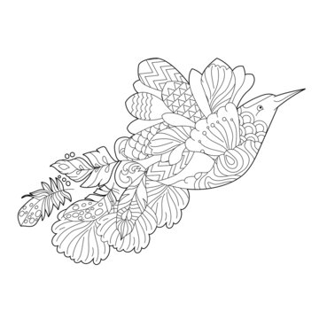 Contour linear illustration for coloring book with flying paradise bird. Tropic bird,  anti stress picture. Line art design for adult or kids  in zen-tangle style, tattoo and coloring page.