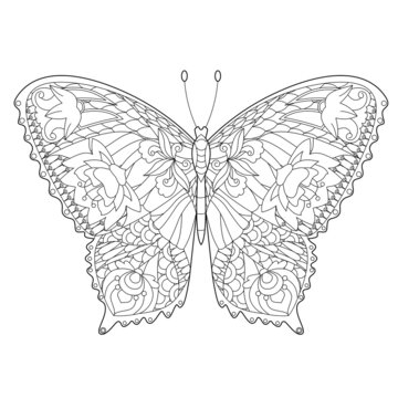 Cute insect butterfly. Doodle style, black and white background. Funny animal, coloring book pages. Hand drawn illustration in zentangle style for children and adults, tattoo.