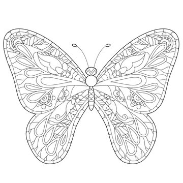 Cute insect butterfly. Doodle style, black and white background. Funny animal, coloring book pages. Hand drawn illustration in zentangle style for children and adults, tattoo.