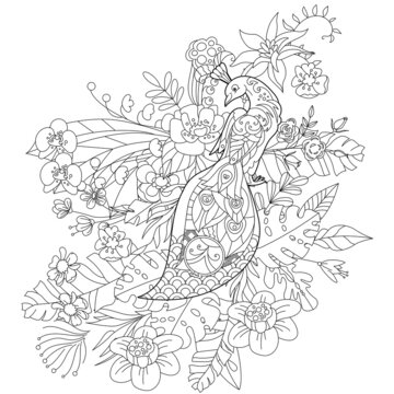 Contour linear illustration for coloring book with paradise bird in flowers. Tropic peacock,  anti stress picture. Line art design for adult or kids  in zen-tangle style, tattoo and coloring page.