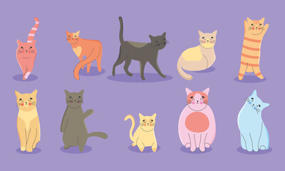 Fototapeta na wymiar adorable cats set