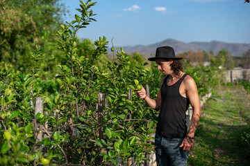 A young farmer looks admiringly and holding a lemon from a lemon tree at an organic farm with a smile and happiness cause ready for harvest. Labor, hard work, hope, and sustainable living ideas