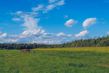 Summer field grass with hay in the middle. Meadow picturesque summer landscape with clouds on blue marvelous sky view background. Green grassland countryside stock photo.