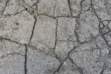 Macro closeup on concrete asphalt cracks on the road. background, texture. High quality photo