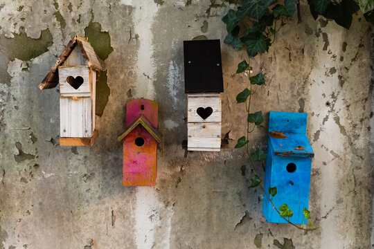 Group of four colorful cute wooden bird houses hanging on a gray wall