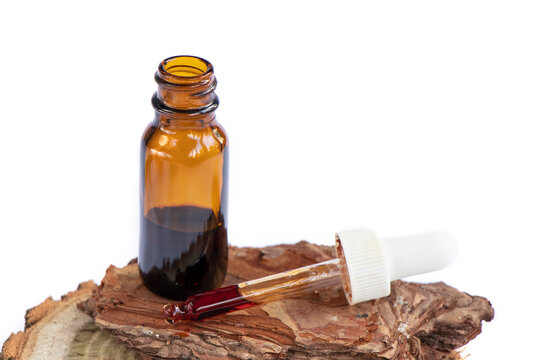 cosmetic ingredient Pycnogenol or Pinus pinaster in a dark bottle stands on a piece of pine bark on a white background, isolate. Serum with bark extract for the face. High quality photo