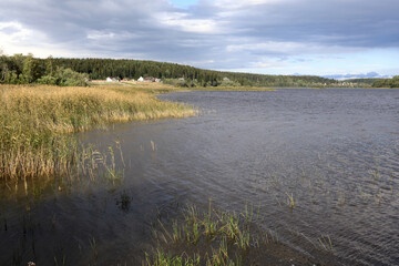 View of Lake Ladoga in summer