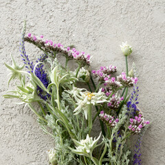 bouquet with edelweiss on a light background