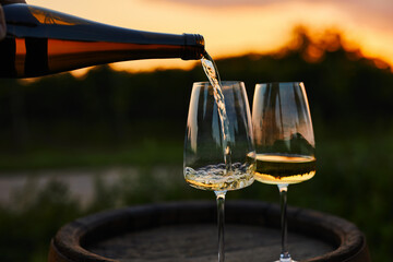 Pouring white wine into glasses on an old barrel, wine tasting