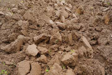 Freshly plowed, unseeded field with moist soil, large fraction. Natural backgrounds, texture. Virgin land. Processing of fields in autumn or spring.Agricultural industry.