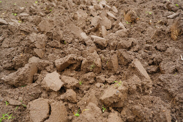 Freshly plowed, unseeded field with moist soil, large fraction. Natural backgrounds, texture....
