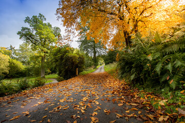Hillsborough castle walk autumn colours county Down Northern Ireland UK
