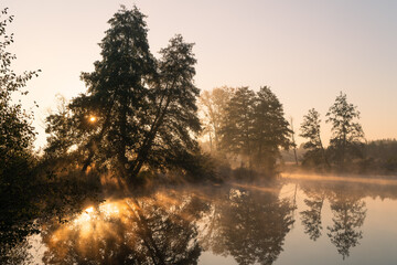 Fototapeta Jesienny pejzaż nad wodą.  Mgły, drzewa, promienie słońca, rzeka. Staw w Białej na rzece Czerniawce, Gmina Zgierz obraz