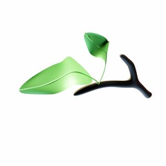 3D Leaf Illustration