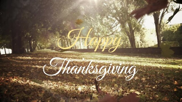 Happy thanksgiving text over multiple maple leaves falling against forest in background