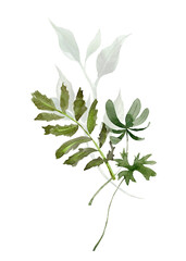 Watercolor greenery. Green floral. Eucalyptus leaves, wedding bouquet. Branches, twigs, foliage for elegant card and invitation