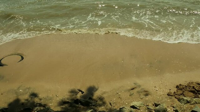 stretch of beach scenery as video content background. beautiful beach footage in indonesia. seascape HD