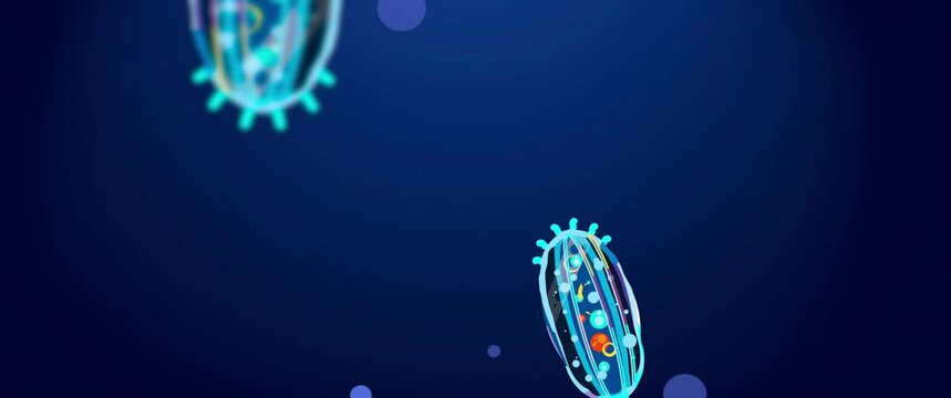 Flat animation of motile bacteria under a microscope. Flagellates float in the water. Dirty water, microorganisms, unicellular, biological sample. The science. School curriculum. Zoology.
