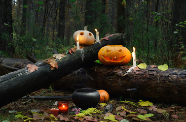 Halloween pumpkin head jack lantern with burning candles in scary deep night forest