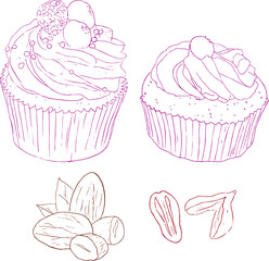 A set of silhouettes cupcakes and nuts