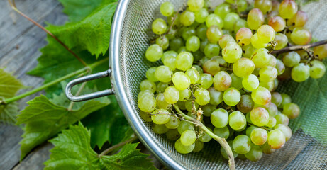 Ripe bunch of green grapes washing on vintage metal colander. Selective focus. Shallow depth of...