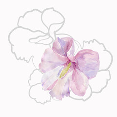 Watercolor flower on a white and colored background.Seamless pattern.