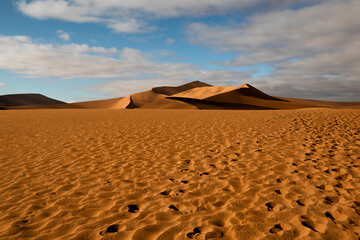 Plakat Red sand dunes of Namibia
