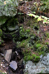 moss covered rocks