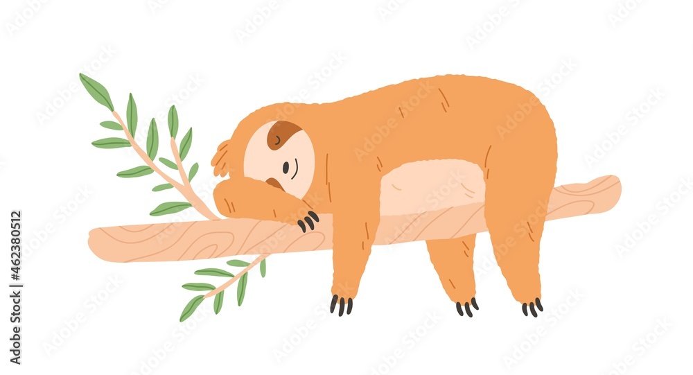 Poster Sleepy lazy sloth sleeping on tree branch. Cute happy animal lying. Asleep baby character relaxing and resting with paws hanging down. Flat vector illustration isolated on white background